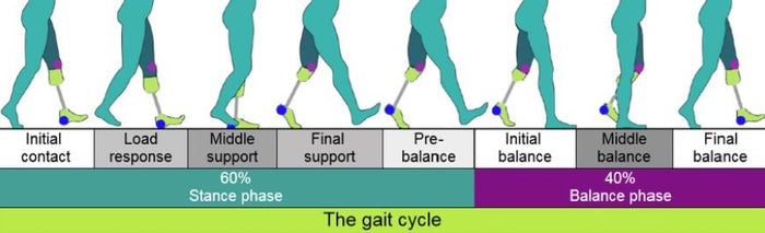 How Best To Improve Your Gait And Balance - SelectFlex