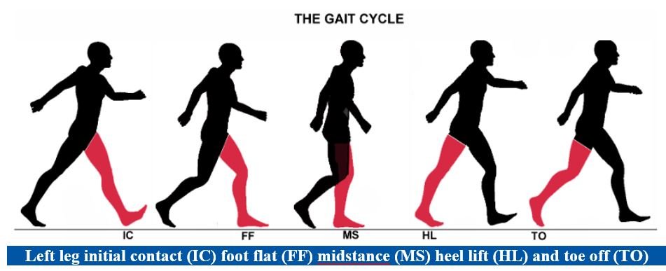 HOW BEST TO IMPROVE YOUR GAIT & BALANCE? - SelectFlex